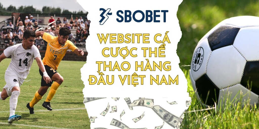 Sbobet 99OK được hiểu là gì? 